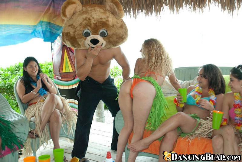 dancing-bear-discount